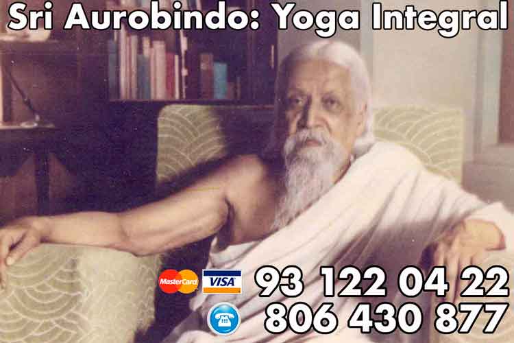 Yoga Integral Sri Aurobindo