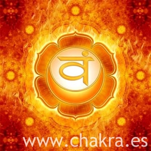 El Chakra Espl+®nico Swadhisthana